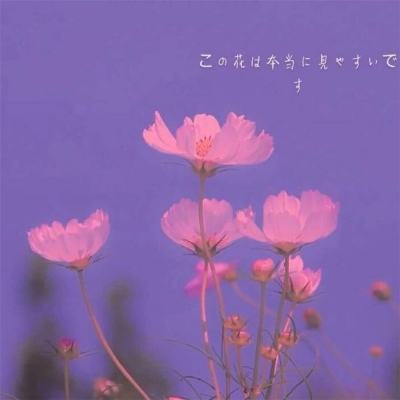 苍天诀游戏